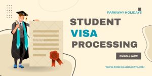 Best Travel Agency in Dhaka